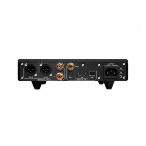 Denafrips Ares 15th R-2R DAC
