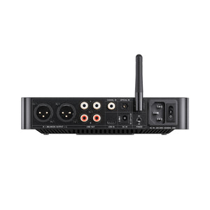 FiiO K13 R2R Desktop DAC & Headphone Amplifier