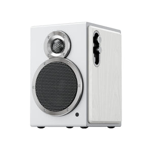 FiiO SA1 High-Fidelity Desktop Active Speakers