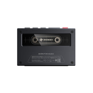 FiiO SnowSky ECHO Portable High-Res Lossless Music Player