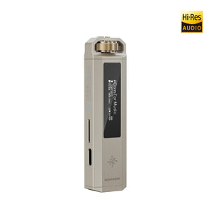 FiiO SnowSky Echo Nano Portable High-Res Lossless Music Player