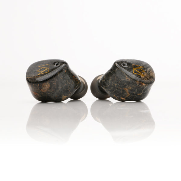 Noble Audio FoKus Prestige True Wireless Earbuds - AV One