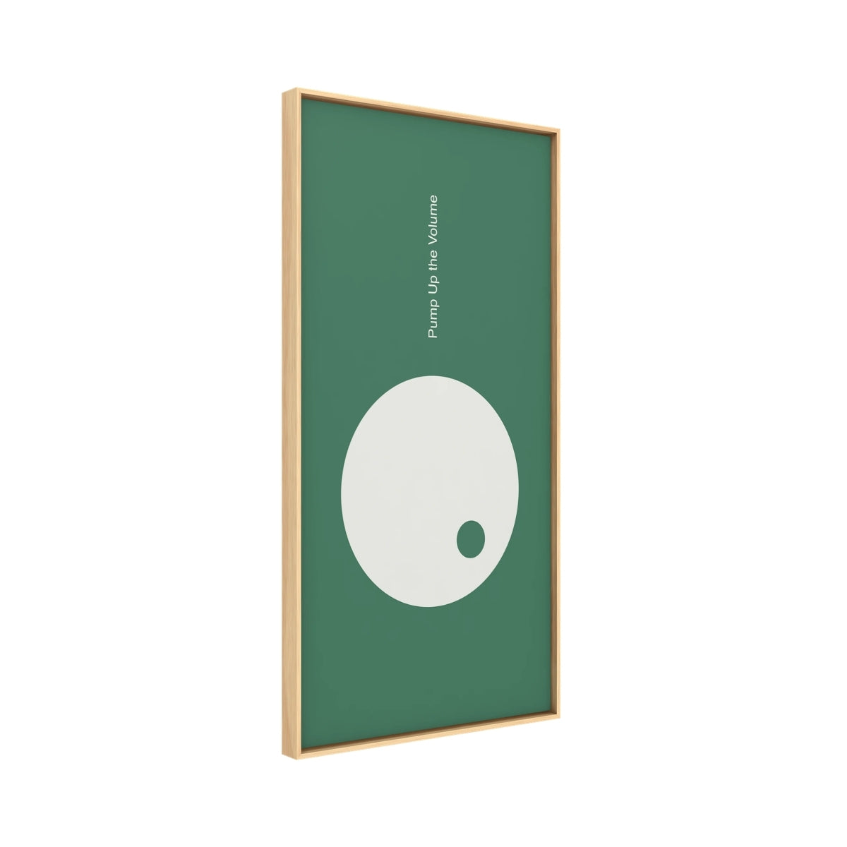 Vicoustic Echo Frame Music Acoustic Sound Absorbing Art Panel