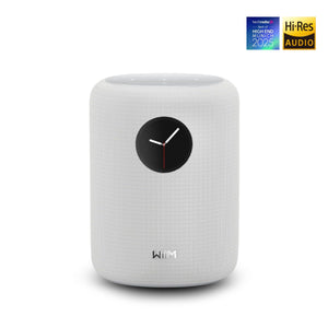 WiiM Sound Smart Speaker