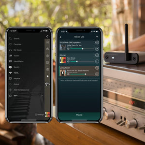 Audioengine B-Fi Multiroom Music Streamer w/ Wi-Fi
